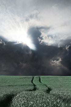 Storm clouds over field with green grass.