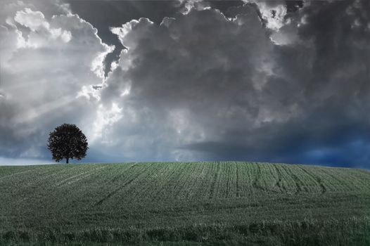 Storm clouds over field with green grass.