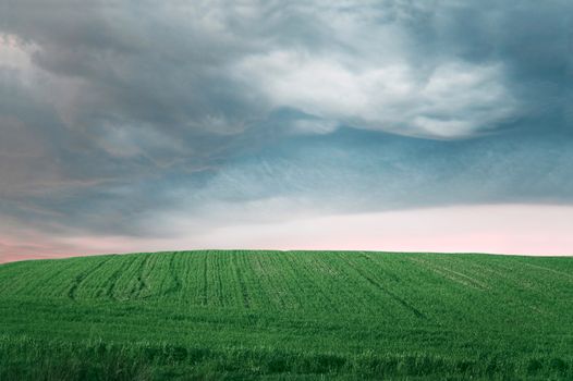 Storm clouds over field with green grass.