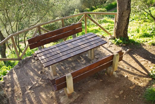 picnic area in the forest