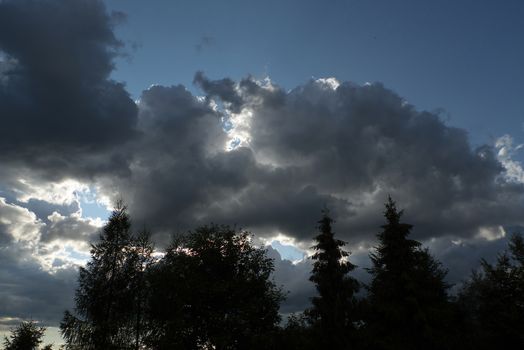 Forest with stormy clouds