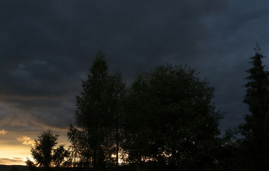 Forest with stormy clouds