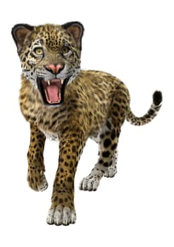 3D digital render of a big cat jaguar resting isolated on white background