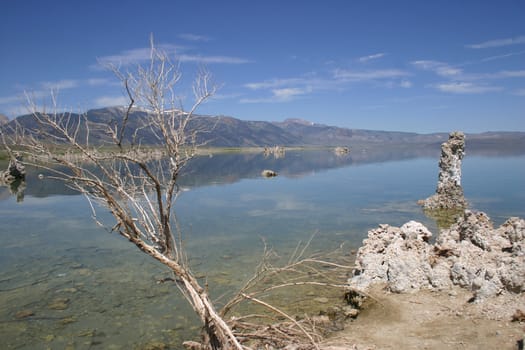 Summer day at Mono Lake in California, USA
