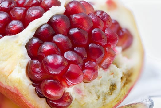 closeup of a pomegranate