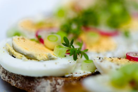 Healthy snack - wholemeal bread with egg and fresh cress and radishes