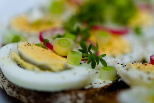 Healthy snack - wholemeal bread with egg and fresh cress and radishes