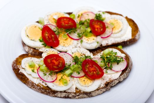 Healthy snack - wholemeal bread with egg tomatos and fresh cress and radishes