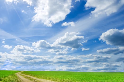 Green field and blue sky conceptual image. Picture of green field and sky in summer.