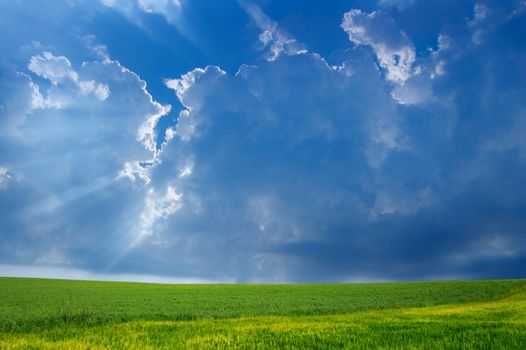 Storm clouds over field with green grass.