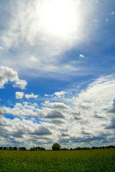 Field and sky conceptual image. Picture of sun and blue shy above the field. 