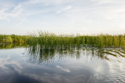 green grass with blue water in the lake and summer sky above