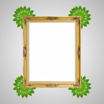 Gold louise and leaves photo frame isolated white background