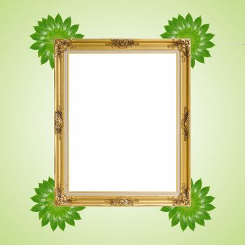 Gold louise and leaves photo frame isolated white background