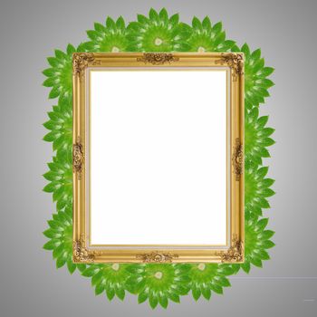 Gold louise and leaves photo frame isolated white background