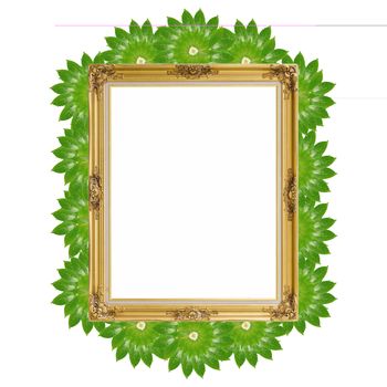 Gold louise and leaves photo frame isolated white background