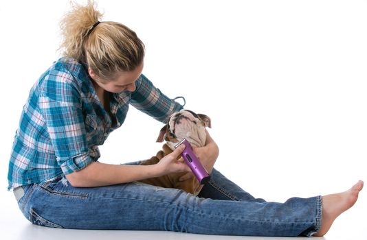 dog grooming - bulldog getting face shaved by woman