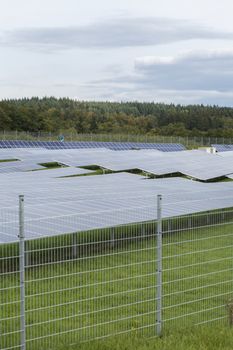 Field with blue siliciom solar cells alternative energy to collect sun energy