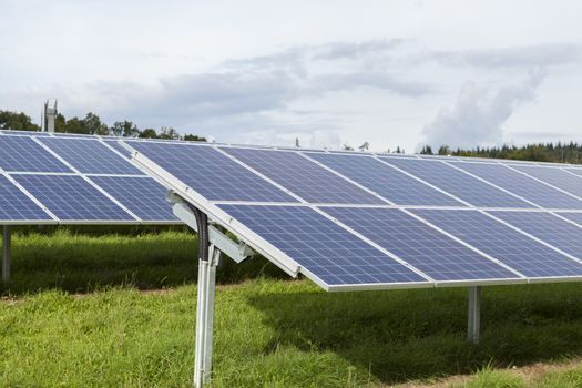 Field with blue siliciom solar cells alternative energy to collect sun energy