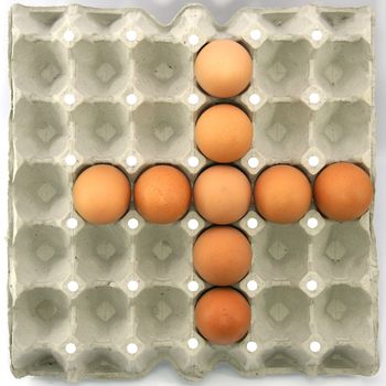 Plus symbol show by eggs in paper tray