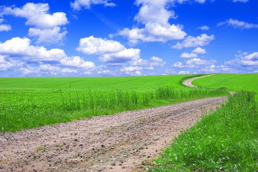 Green field with road and blue sky. Picture of green field and sky in summer.