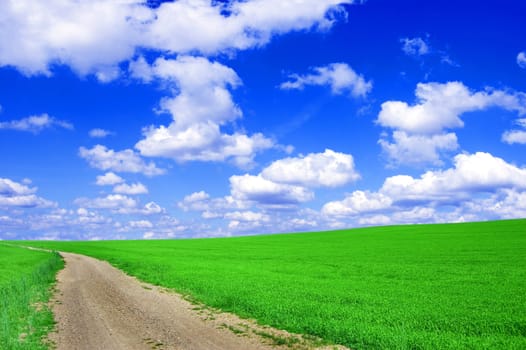 Green field with road and blue sky. Picture of green field and sky in summer.