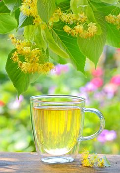 cup with linden tea and flowers on wooden table in garden