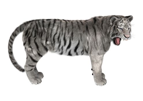 3D digital render of a white tiger isolated on white background