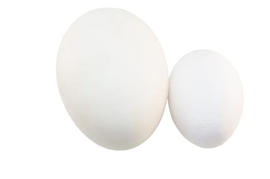 Two eggs of different sizes - chicken egg and goose egg against white background.