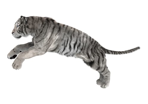 3D digital render of a white tiger hunting isolated on white background