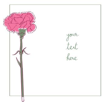 Carnation card illustration, one element composition with simple frame over white