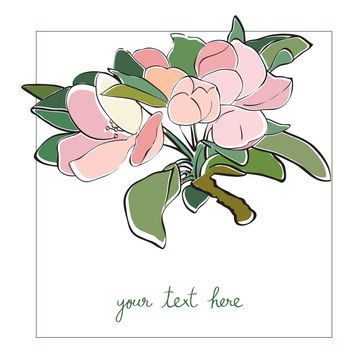 Apple tree flower card illustration, one element composition with simple frame over white