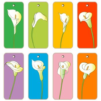 Price tags collection with calla flowers, hand drawn cartoon illustrations over colored backgrounds, series isolated on white