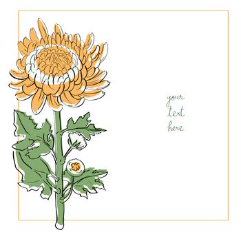 Chrysanthemum minimal card illustration, one element composition with simple frame over white