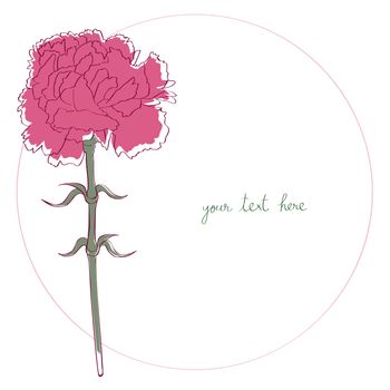 Carnation card illustration, one element composition with simple frame over white