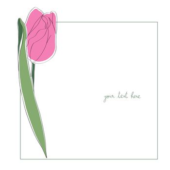 Tulip minimal card illustration, one element composition with simple frame over white