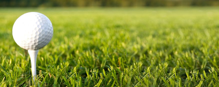 Golf game. Golf ball in grass.