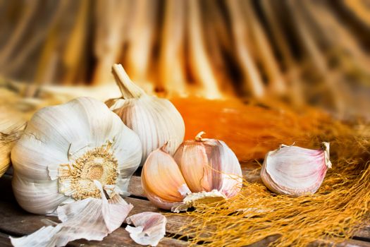Vintage garlic in still life style