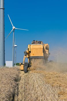 harvester cuts wheat near the wind turbines