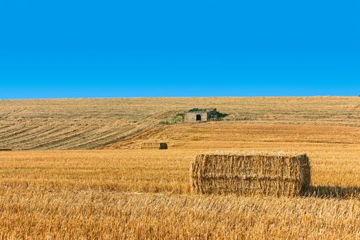 landscape of a wheat field with bales and a house