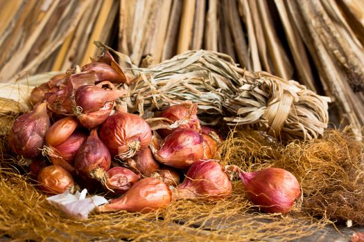 Red onion tuft in still life style