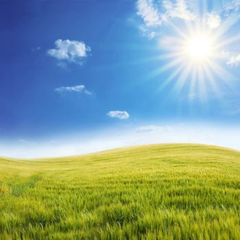 Rural landscape. Bright sun over the green field at summer.