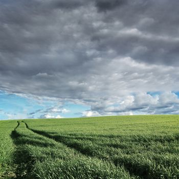 Storm over the field.