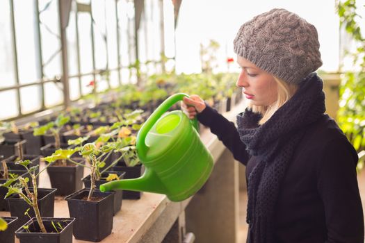 Portrait of florists woman working with flowers in a greenhouse holding a watering can in her hand. Small business owner.