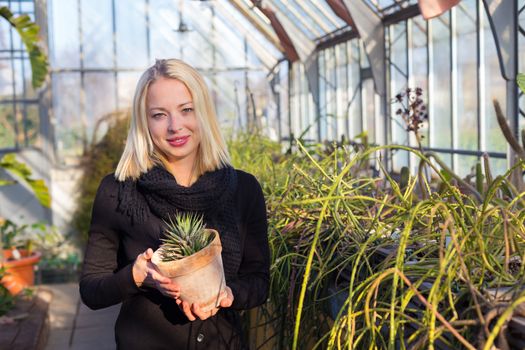 Portrait of florists woman working with flowers in a greenhouse holding a pot plant in her hand. Small business owner.