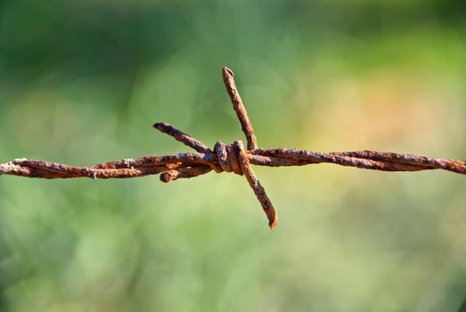 detail of a rusty barbed wire on a fence