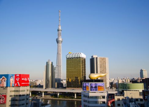 Tokyo, Japan - November 21, 2013:  Landmark buildings including Tokyo Sky Tree along the Sumida River on November 21, 2013 in Tokyo, Japan.