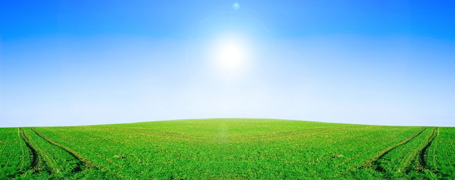 Green field and blue sky conceptual image. Panorama of green field and sky in summer.