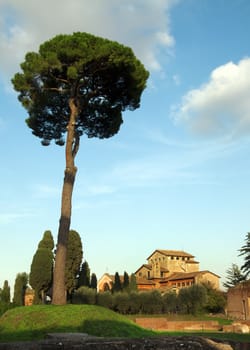 rome city italy roman house genuine architecture