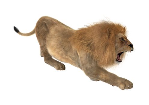 3D digital render of a male lion isolated on white background